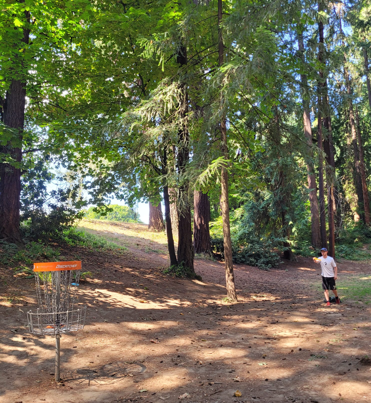 Playing disc golf
